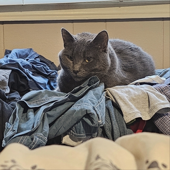 Meet your Posher, Jessica - Picture 1 of 3